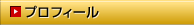�v���t�B�[��