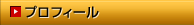 �v���t�B�[��